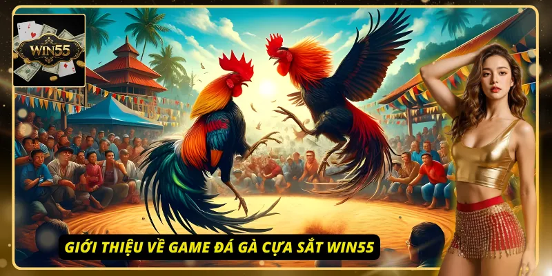 Game đá gà cựa sắt Win55 là một game săn thưởng hấp dẫn nhất hiện nay