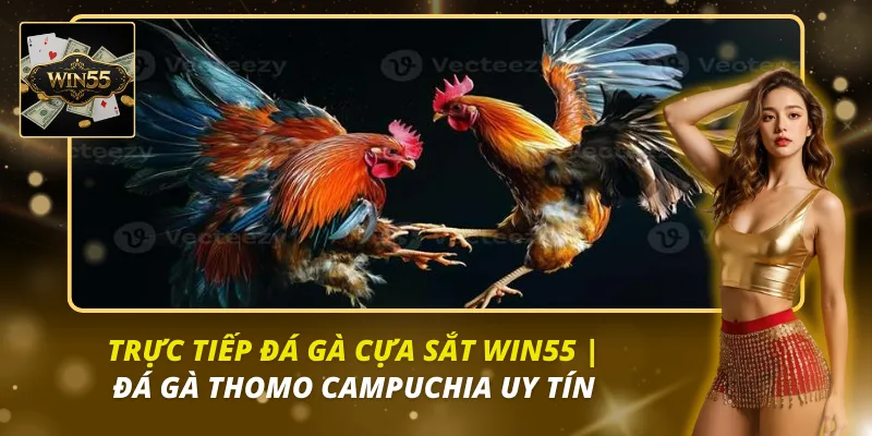 đá gà cựa sắt Win55