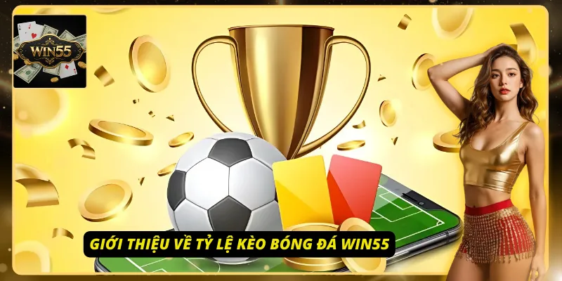 Những thông tin chính về tỷ lệ kèo bóng đá Win55