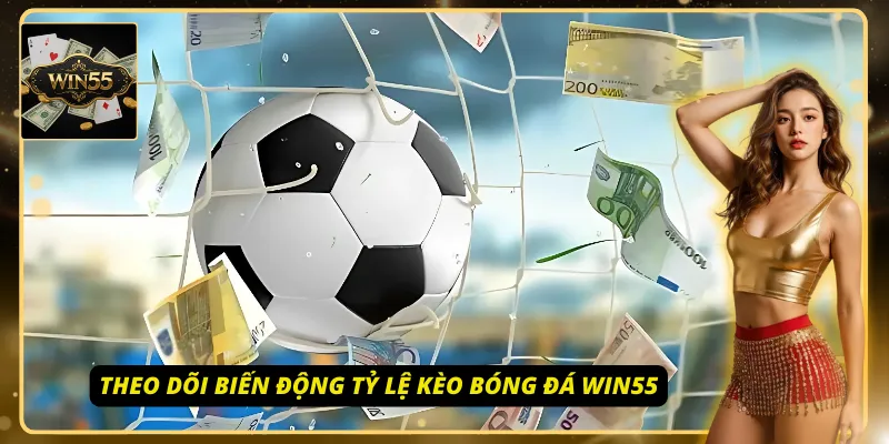 Người chơi theo dõi biến động kèo chi tiết