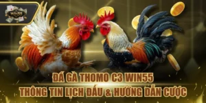 Đá gà Thomo C3 Win55
