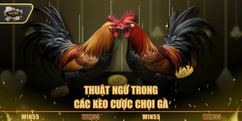 Thuật ngữ trong các kèo cược chọi gà