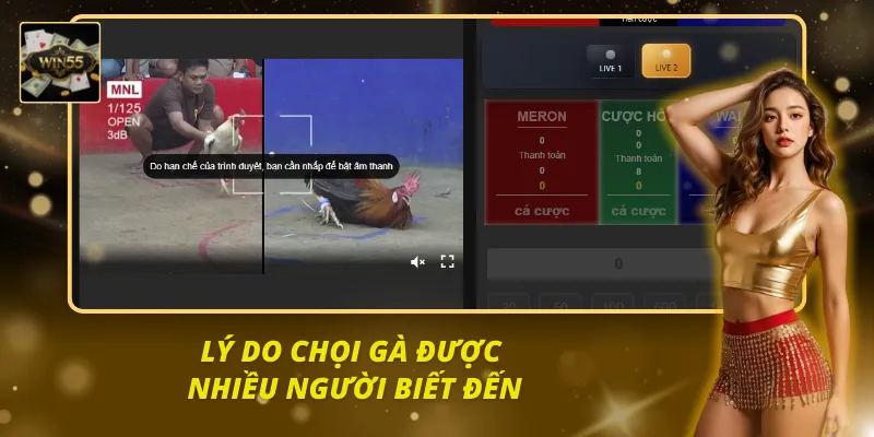 Win55 thu hút người chơi nhờ sự uy tín và an toàn