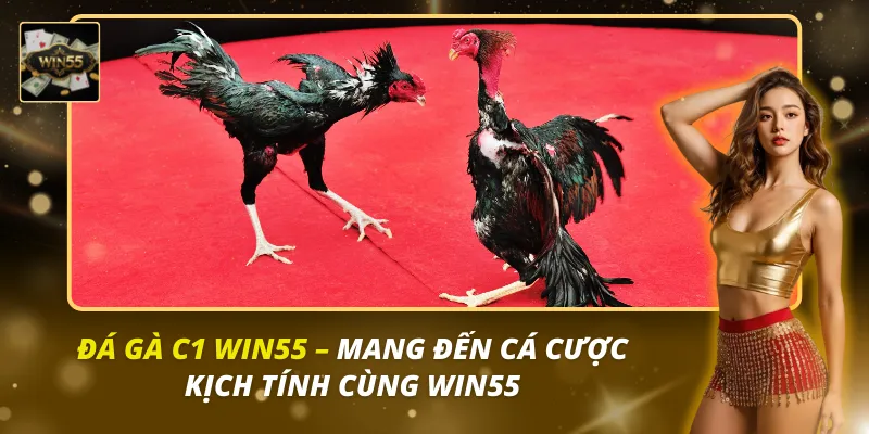 đá gà c1 win55